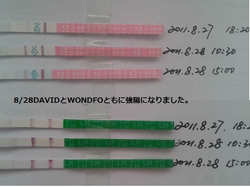 DAVID排卵検査薬の見本